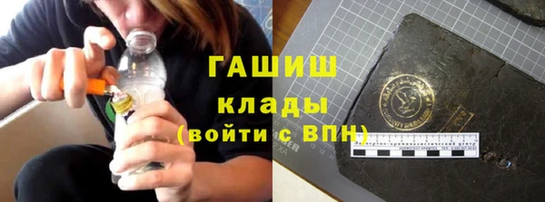 прущие грибы Горнозаводск