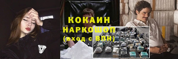 гашик Горняк