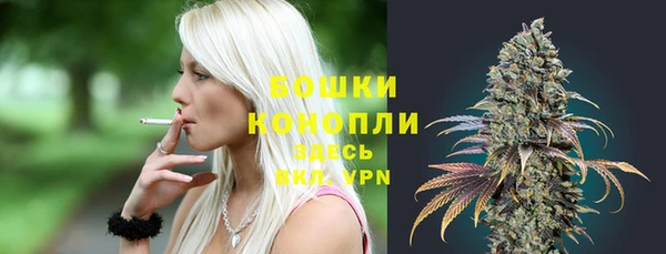прущие грибы Горнозаводск