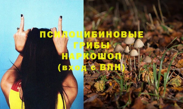гашик Горно-Алтайск