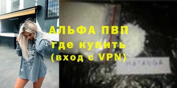 гашик Горняк