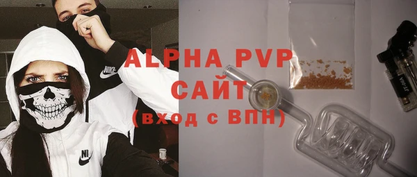 гашик Горняк