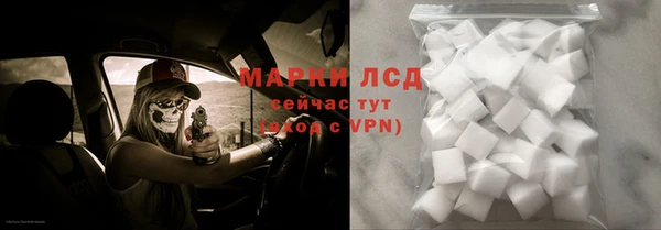 гашик Горняк