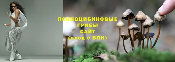 гашик Горно-Алтайск