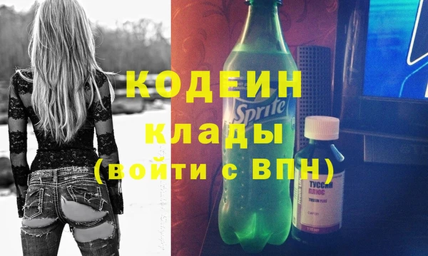гашик Горняк