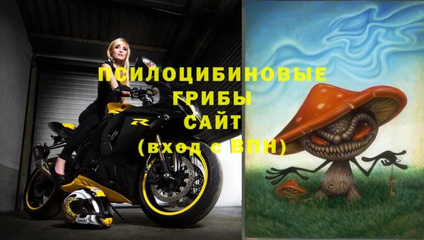 гашик Горно-Алтайск