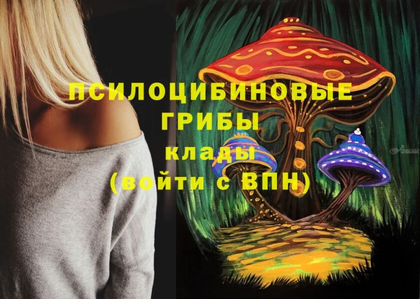 прущие грибы Горнозаводск