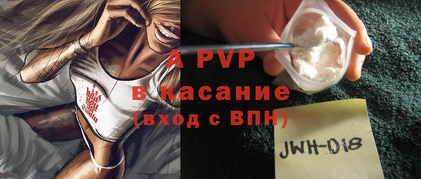 прущие грибы Горнозаводск
