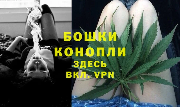 прущие грибы Горнозаводск