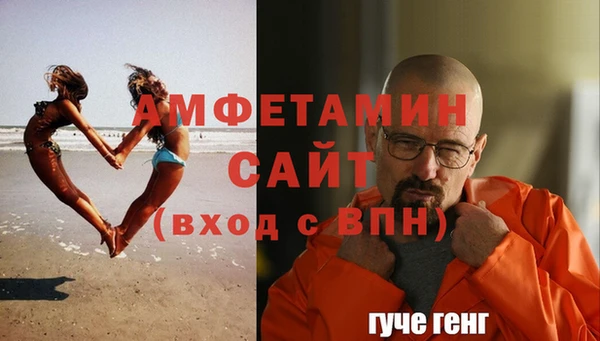 гашик Горняк