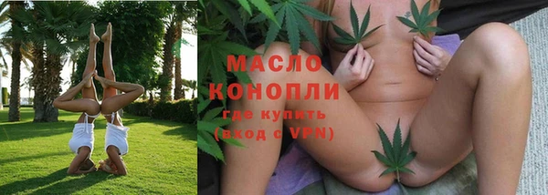 гашик Горняк