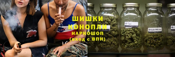 гашик Горняк