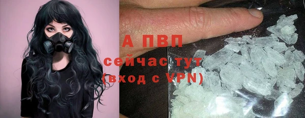 гашик Горняк