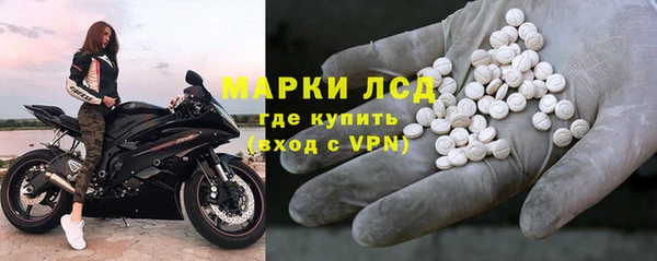 прущие грибы Горнозаводск