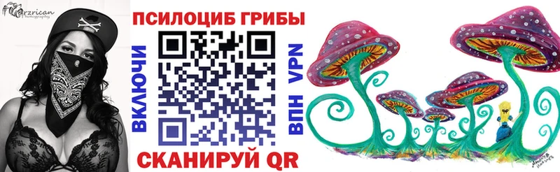Галлюциногенные грибы Psilocybe  цена   Саранск 